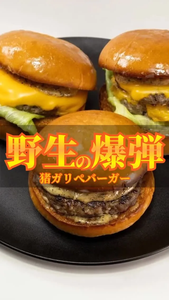 ちょっとうるさい紹介動画